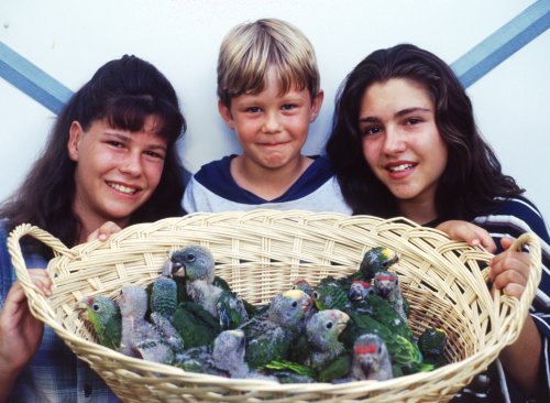 Six years later with their brother George, Elisha and Stacie hold up a basket of many different Amazon species.